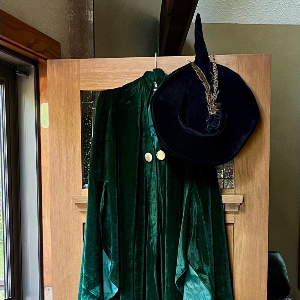 HARRY POTTER FANS REJOICE!  Perfect condition McGonagal costume!